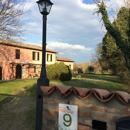 Agriturismo Il Pettirosso Guest House Forli Ngoại thất bức ảnh