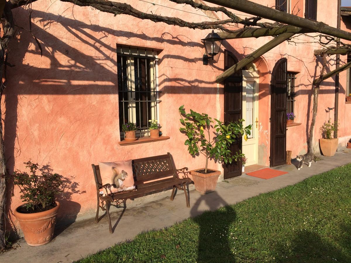Agriturismo Il Pettirosso Guest House Forli Ngoại thất bức ảnh